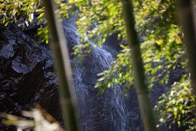 网飞《刺客信条》真人剧编剧首曝 《星战》《行尸》编剧联手